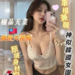 台南外送茶-恬艾/165/45/?/D