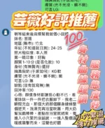 新竹定點茶-芸薇/158/45/23/F