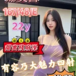 嘉義定點茶-娜美醬/167/48/22/E