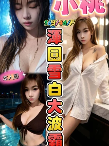 台中定點茶-小桃/163/46/24/F