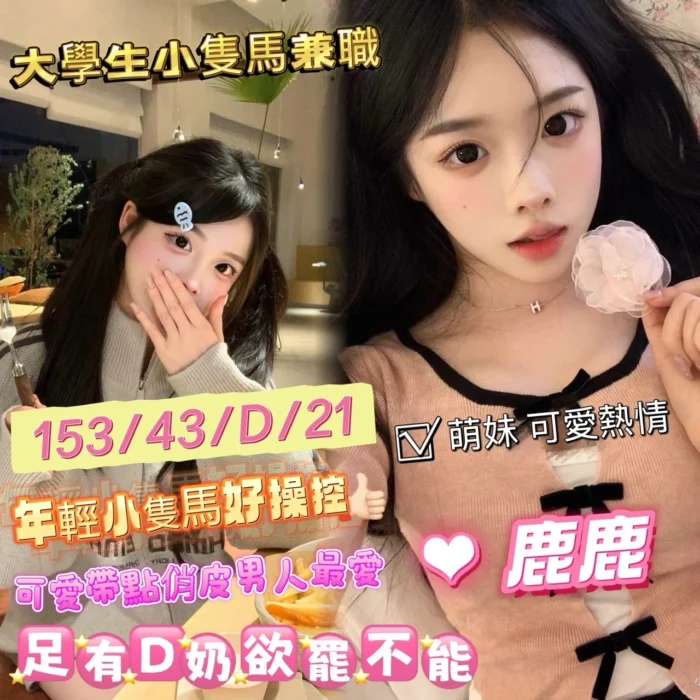 台中定點茶-鹿鹿/153/43/21/D 台中定點茶-鹿鹿/153/43/21/D