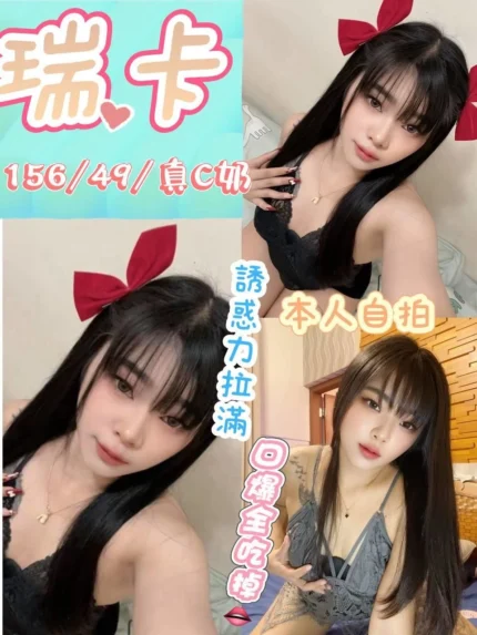 屏東定點茶-瑞卡/156/49/?/C