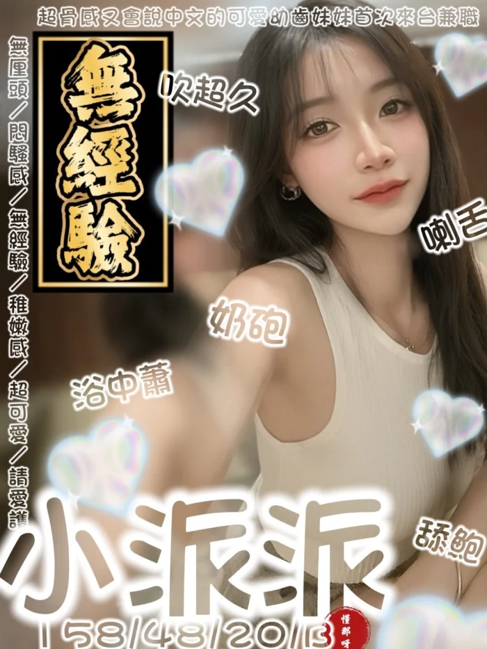 台南定點茶-小派派/158/48/20/B 台南定點茶-小派派/158/48/20/B