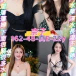 桃園定點茶-奈子/162/48/22/E