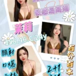 屏東定點茶-茉莉/158/46/24/C