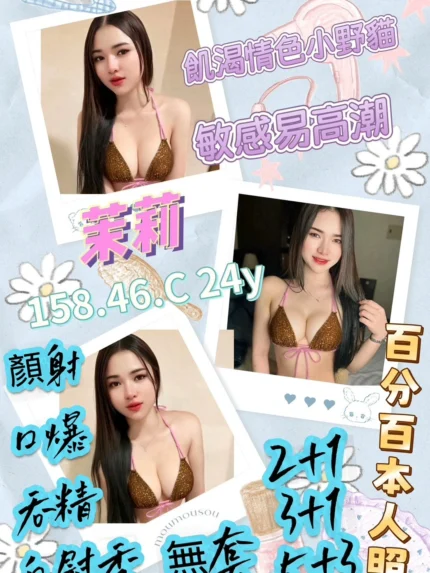 屏東定點茶-茉莉/158/46/24/C
