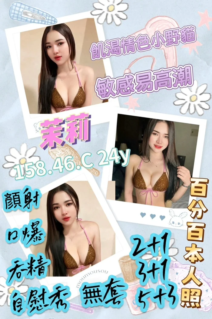 屏東定點茶-茉莉/158/46/24/C