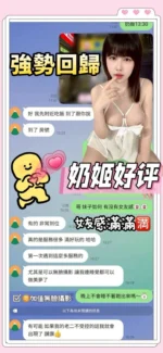 台南定點茶-奶姬/165/41/21/D