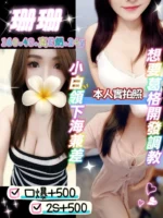 桃園定點茶-珊珊/160/48/24/E