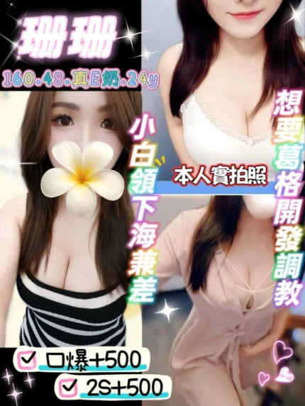 桃園定點茶-珊珊/160/48/24/E