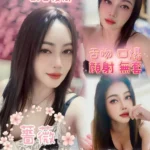 嘉義定點茶-薔薇/158/50/22/C