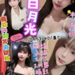 新竹定點茶-白月光/153/40/?/C
