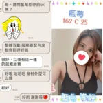 台北定點茶-藍莓/162/?/25/C