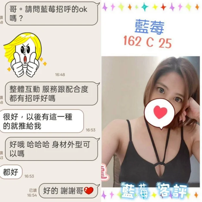 台北定點茶-藍莓/162/?/25/C