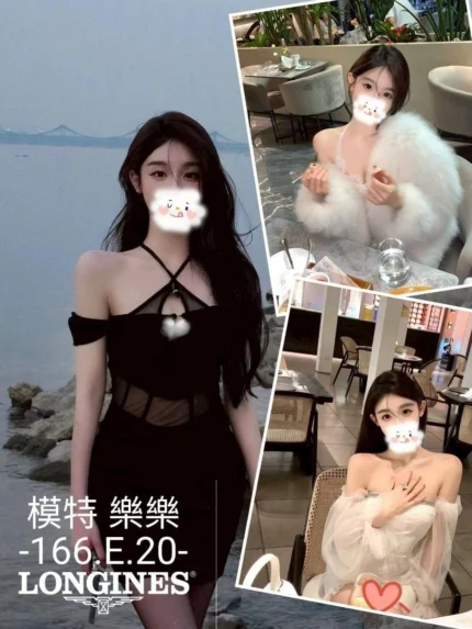 台中外送茶-樂樂/166/?/20/E