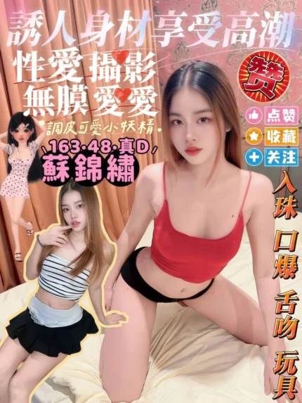 屏東定點茶-蘇錦繡/163/48/23/D
