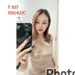 嘉義定點茶-T107/150/42/26/C