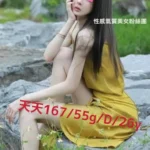 嘉義外送茶-天天/167/55/26/D