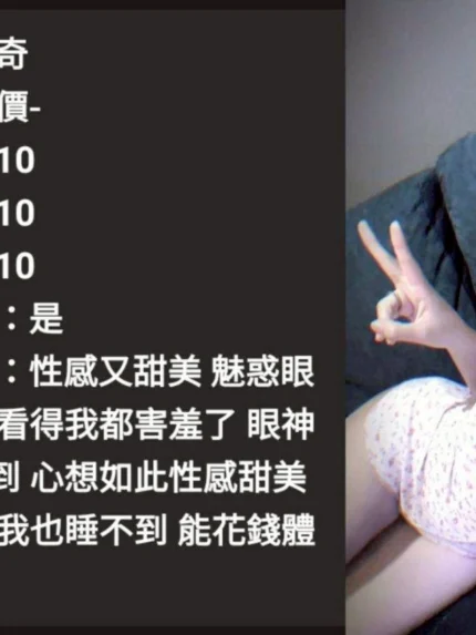 雲林定點茶-史迪奇/155/46/22/E
