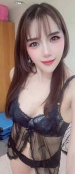 雲林定點茶-佩蓉/155/46/26/C