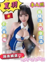 台南定點茶-夏羽/152/43/?/E