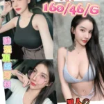 彰化定點茶-星柔/160/46/19/G