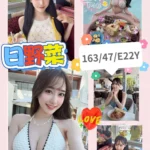 高雄外送茶-日野菜/163/47/22/E