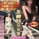 高雄定點茶-范芸芸/165/43/20/E