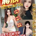 桃園定點茶-蔣欣/162/48/22/D