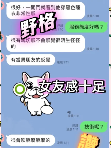 台中定點茶-野格/155/39/?/C