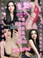 新竹定點茶-夏艷/165/50/?/D