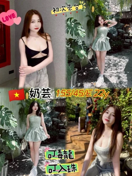 桃園定點茶-奶芸/155/45/22/E