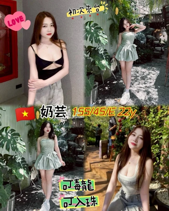桃園定點茶-奶芸/155/45/22/E 桃園定點茶-奶芸/155/45/22/E
