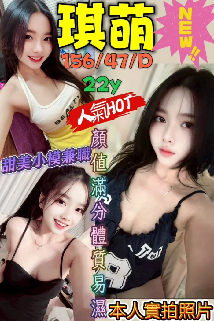 新北定點茶-琪萌/156/47/22/D