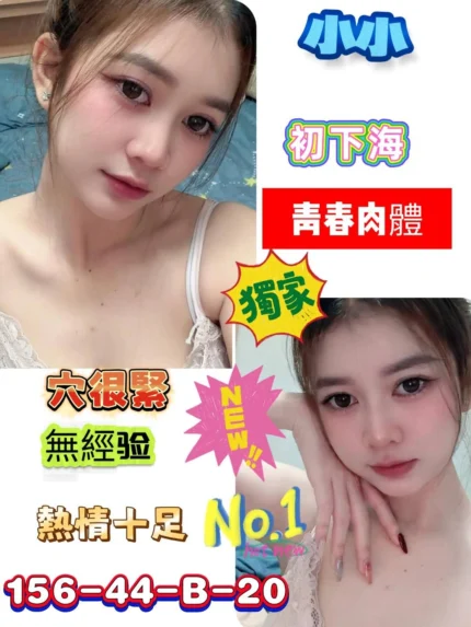 台南定點茶-小小/156/44/20/B