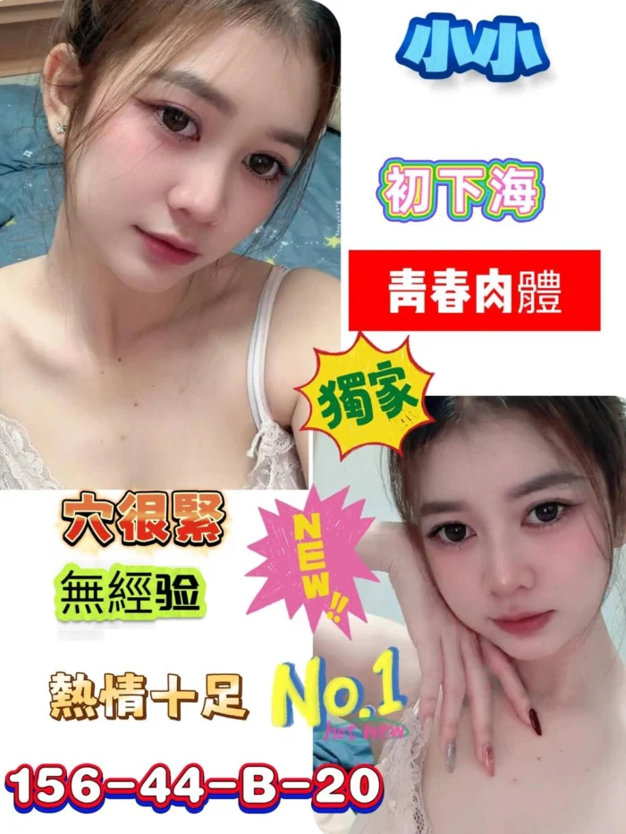 台南定點茶-小小/156/44/20/B 台南定點茶-小小/156/44/20/B