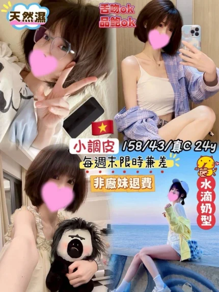 桃園定點茶-小調皮/158/43/24/C