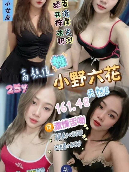 桃園定點茶-小野六花/161/48/25/C