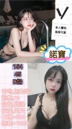 台北定點茶-諾寶/154/45/?/D