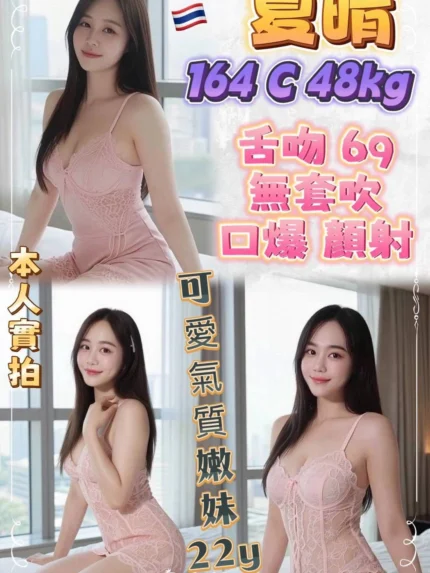 新北定點茶-夏晴/164/48/22/C