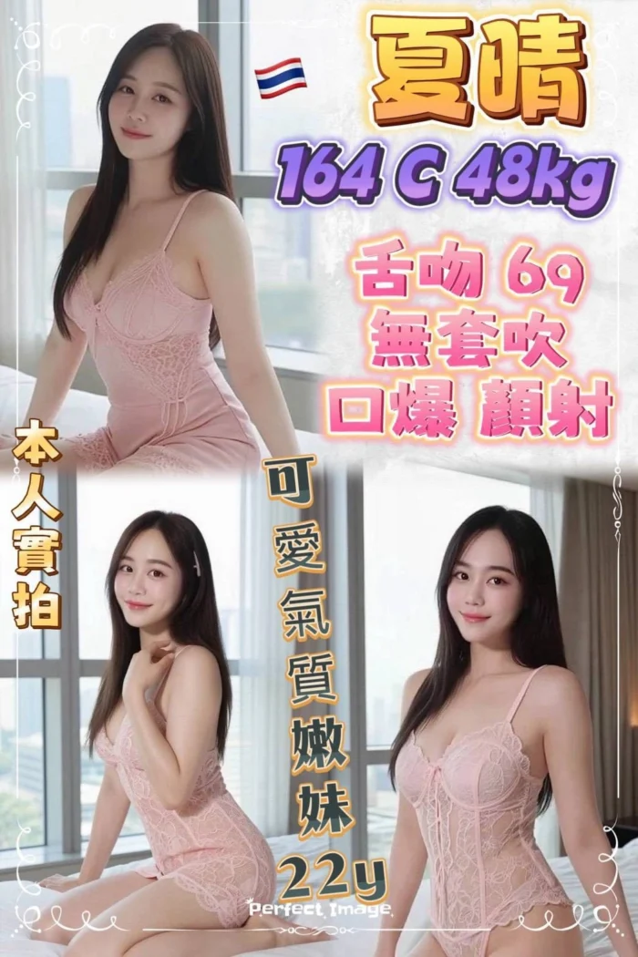 新北定點茶-夏晴/164/48/22/C 新北定點茶-夏晴/164/48/22/C