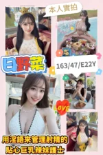 高雄定點茶-日野菜/163/47/22/E