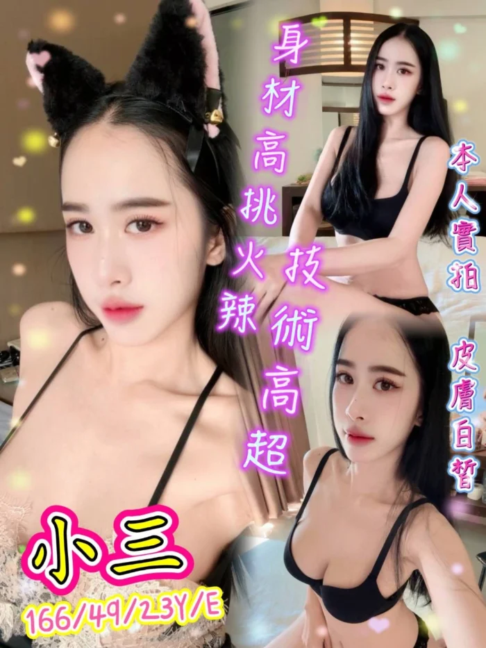 台北定點茶-小三/166/49/23/E 台北定點茶-小三/166/49/23/E