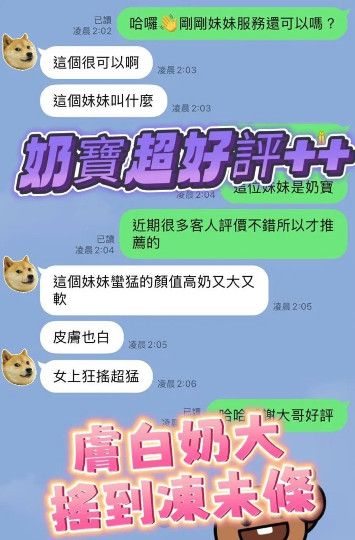 台南定點茶-奶寶/155/43/19/G