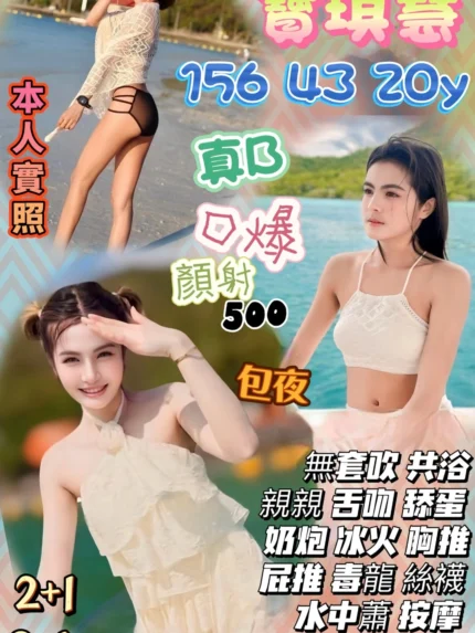 桃園定點茶-寶琪慧/156/43/20/B