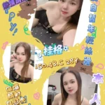 屏東定點茶-桂格/150/48/28/C