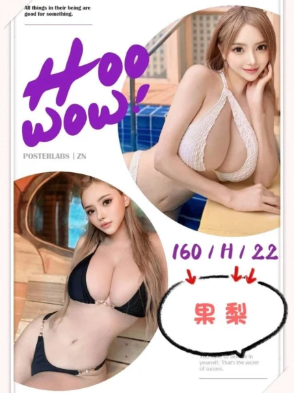 台中定點茶-果梨/160/?/22/H