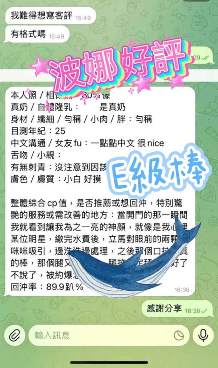 雲林定點茶-波娜/158/45/?/E