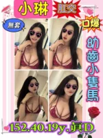 新北定點茶-小琳/152/40/19/D