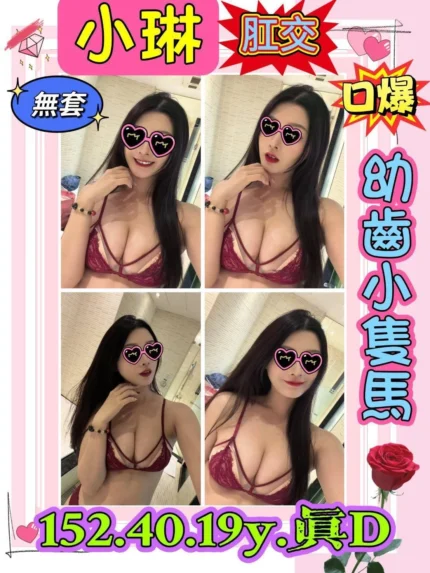 新北定點茶-小琳/152/40/19/D